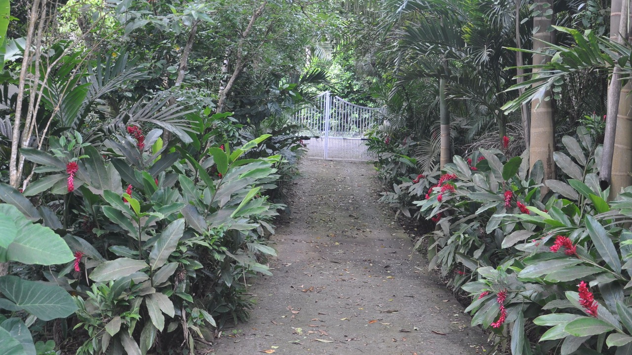 Photo of Others in St. Thomas