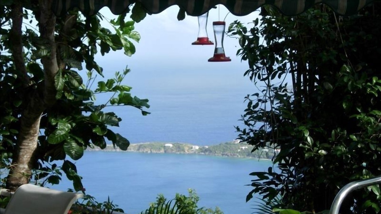 Photo of Others in St. Thomas
