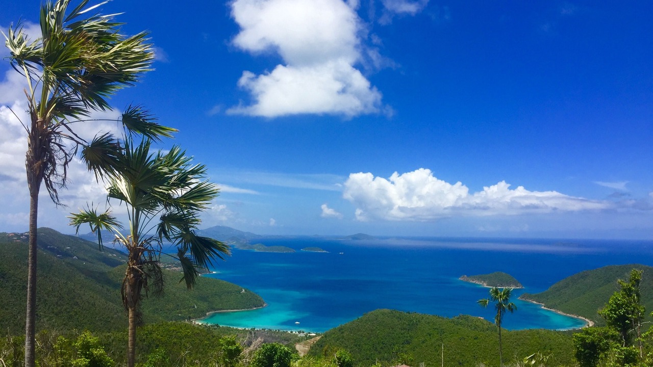 Photo of Others in Maho Bay Quarter