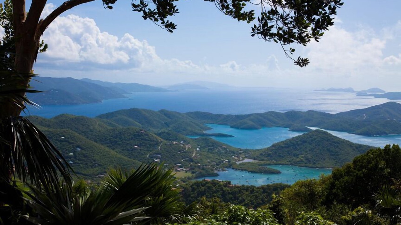 Photo of Others in St. John