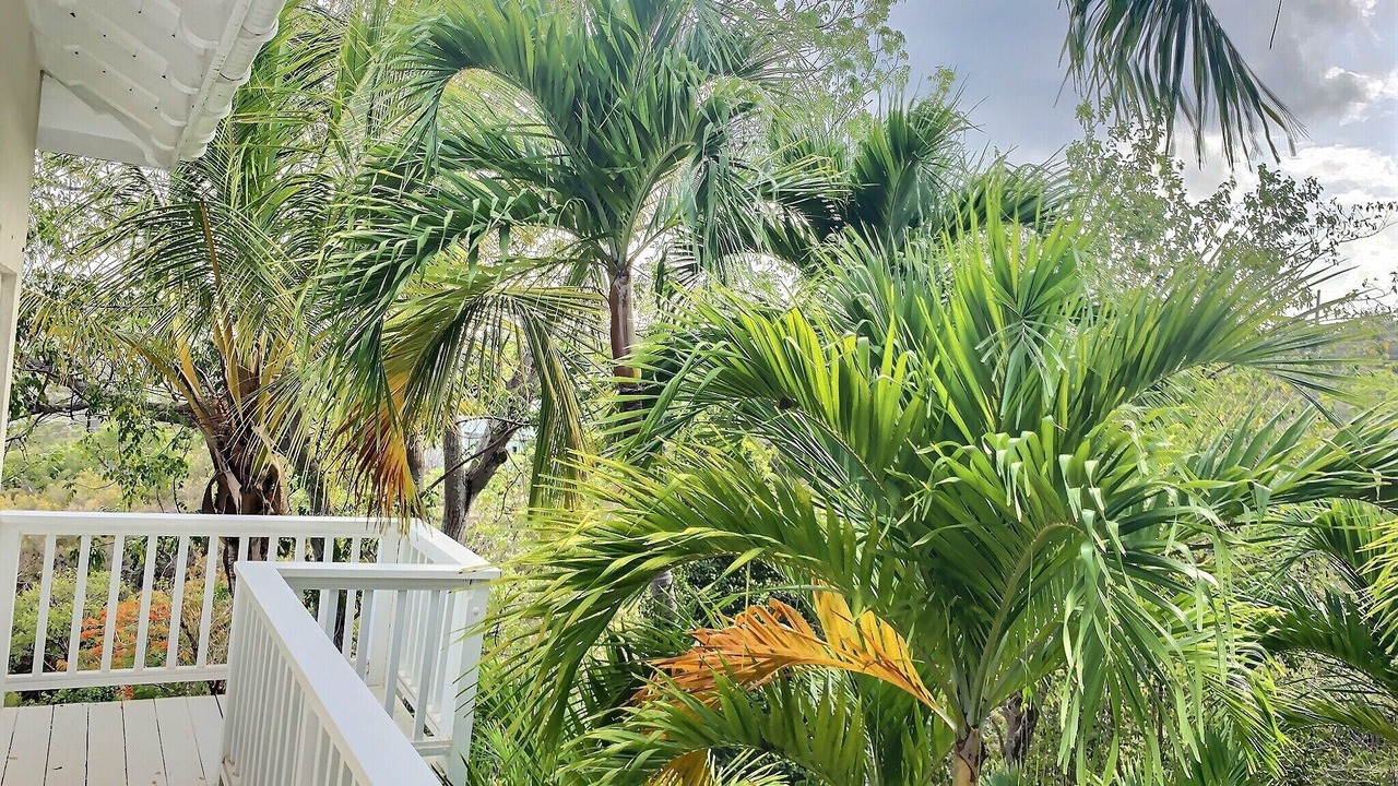 Photo of Outdoor in Hart Bay