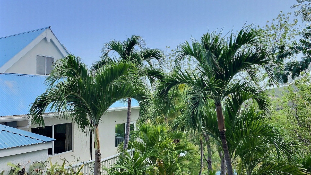 Photo of Outdoor in Hart Bay