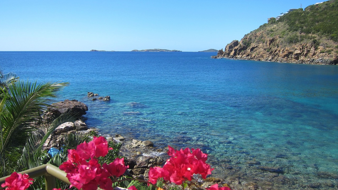 Photo of Others in Estate Chocolate Hole and Great Cruz Bay