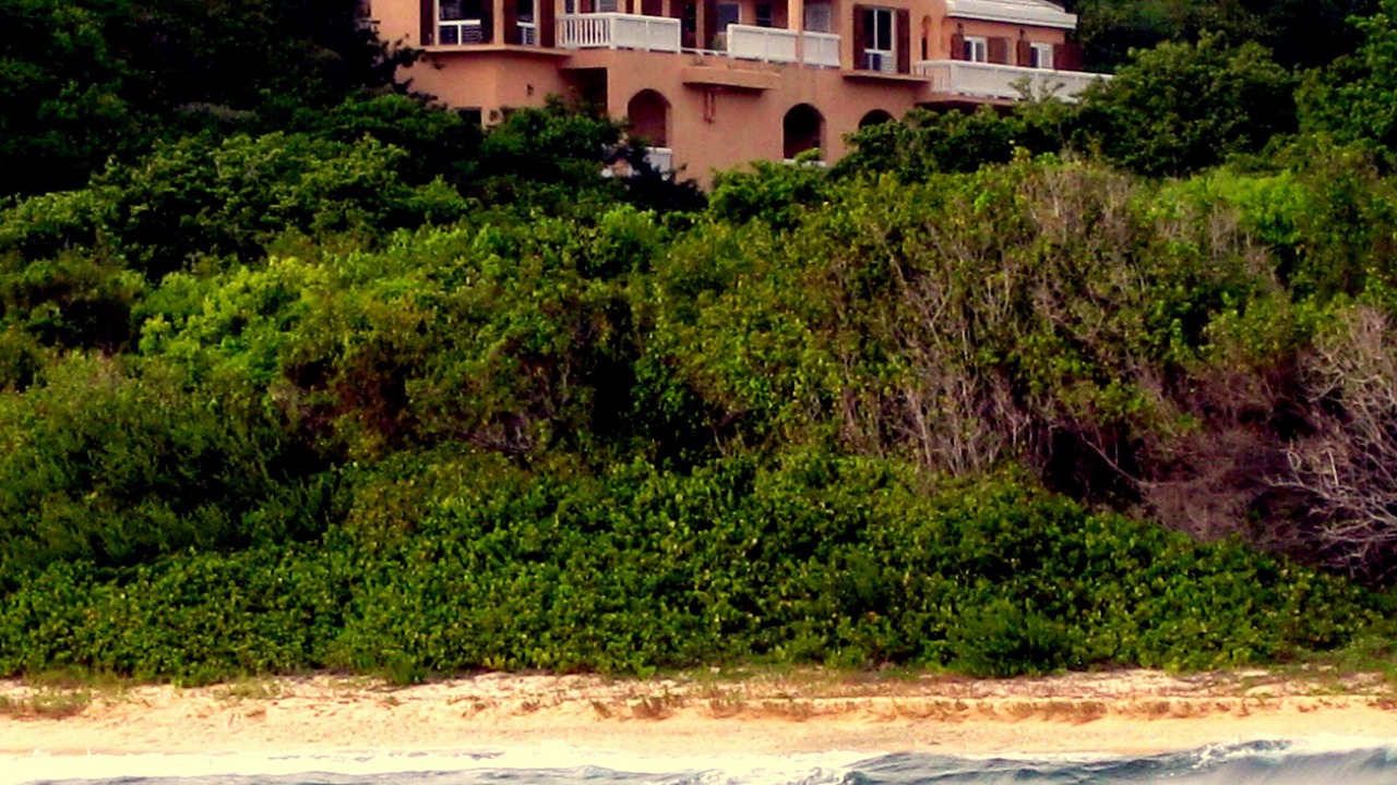 Photo of Others in Fish Bay