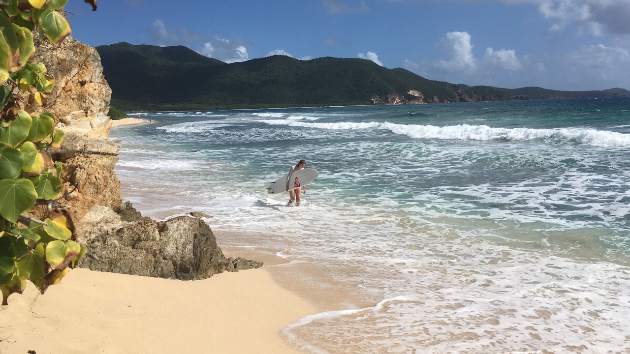 Photo of Others in Fish Bay