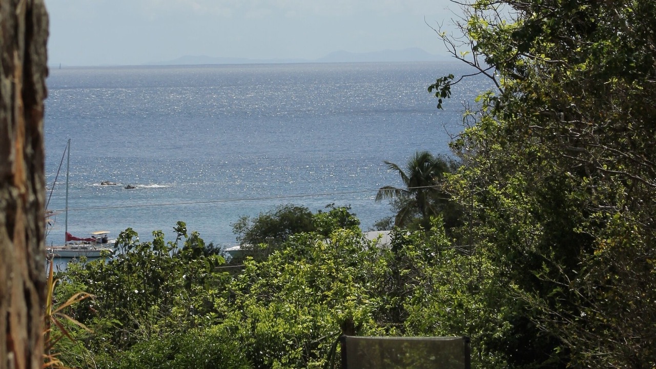 Photo of Others in Estate Chocolate Hole and Great Cruz Bay