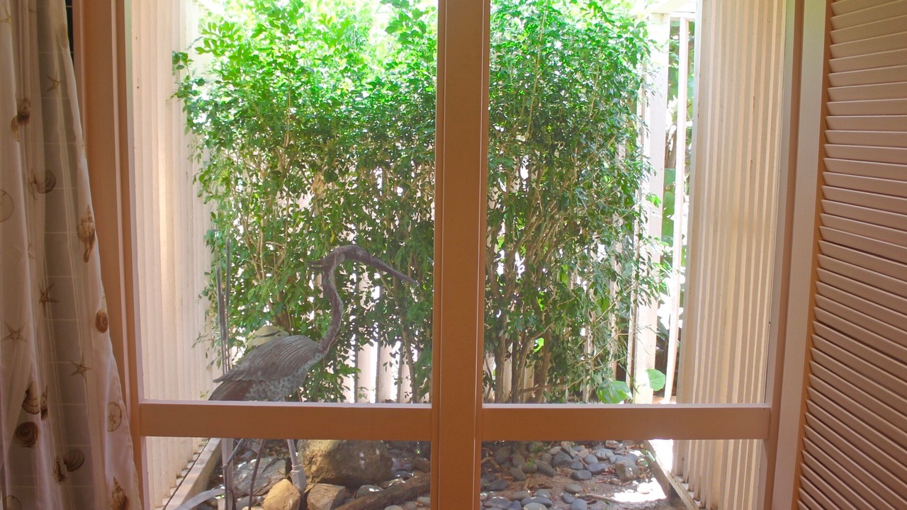 Photo of Bathroom in Estate Chocolate Hole and Great Cruz Bay