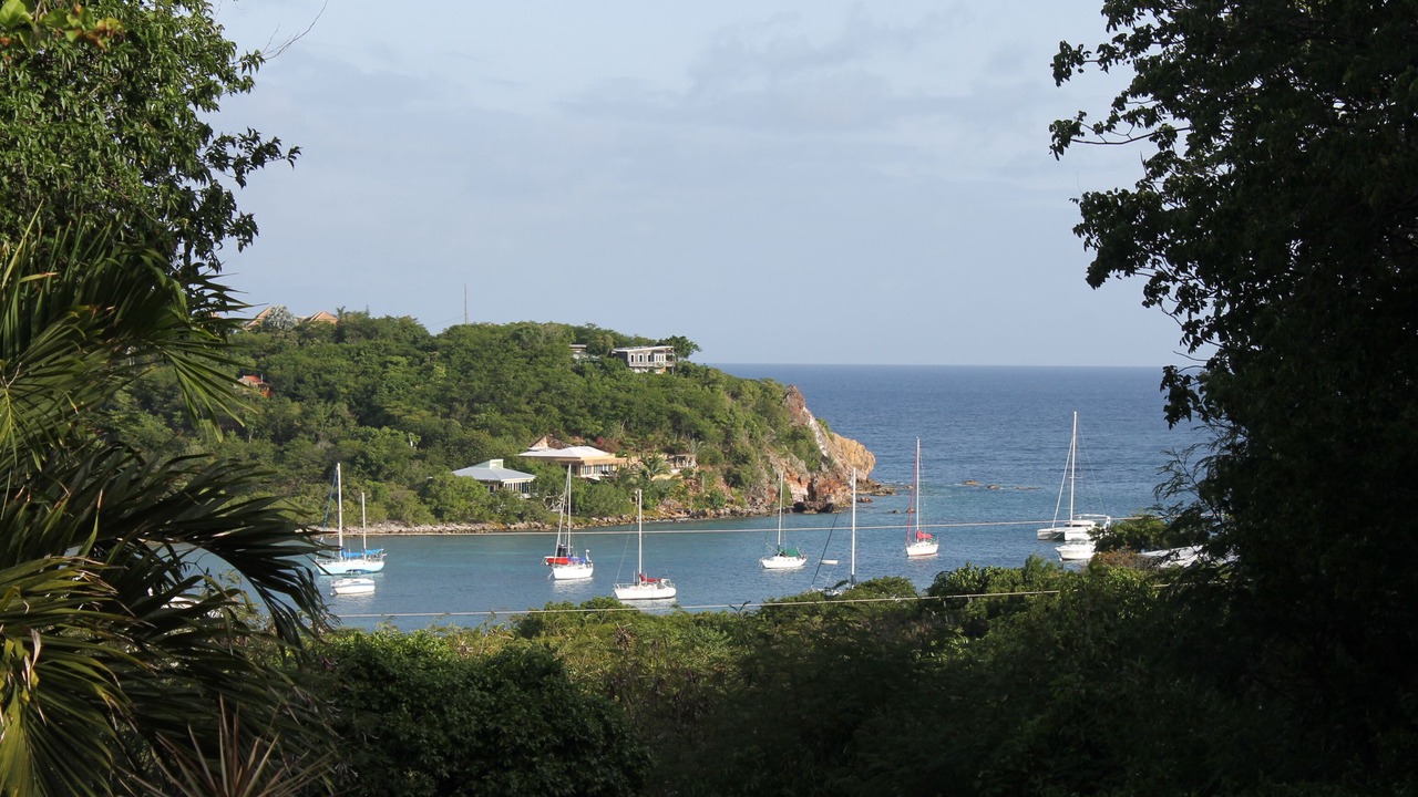 Photo of Others in Estate Chocolate Hole and Great Cruz Bay