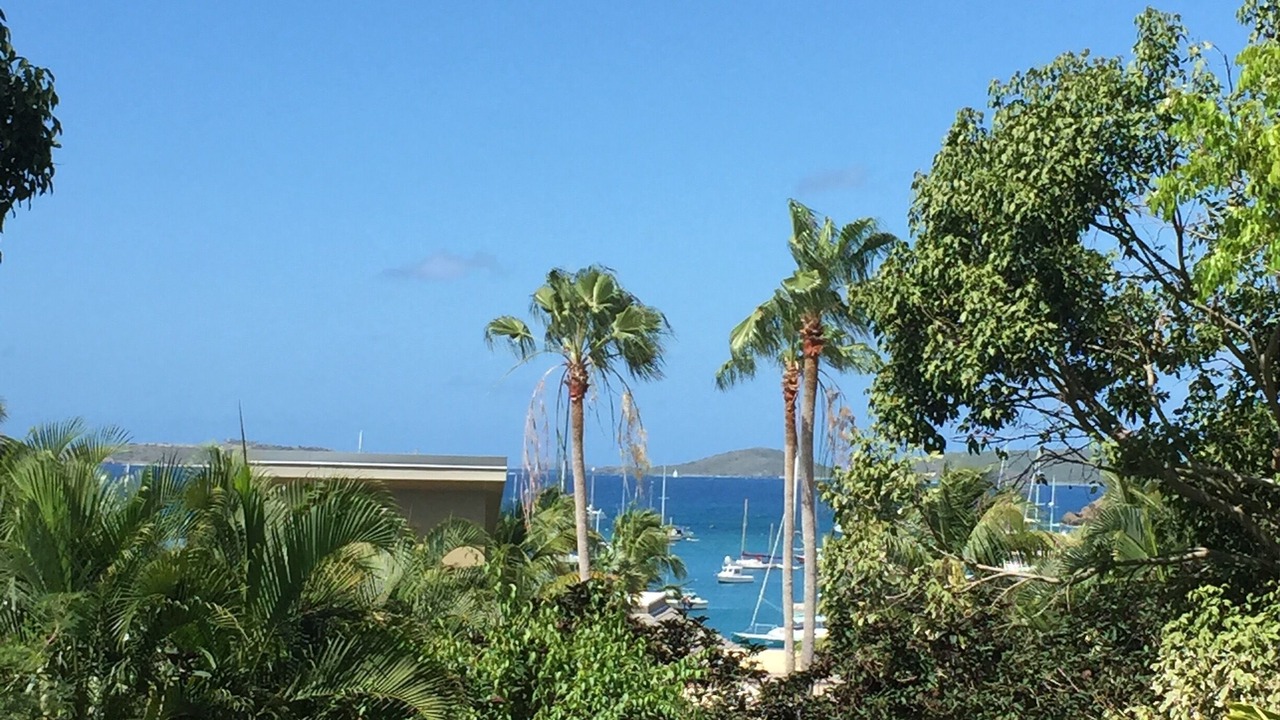 Photo of Others in Great Cruz Bay