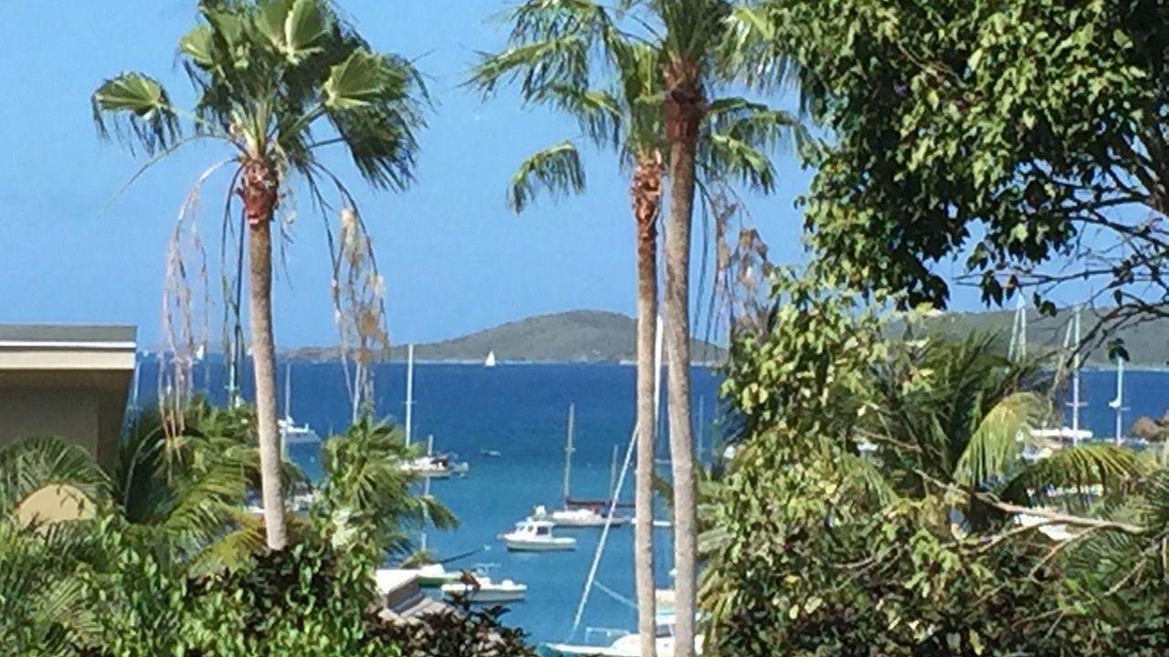 Photo of Others in Estate Chocolate Hole and Great Cruz Bay