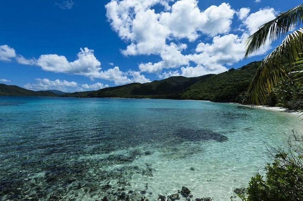 Photo of Others in Maho Bay Quarter