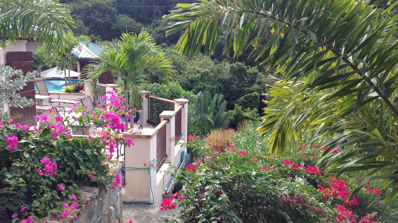 Photo of Outdoor in Estate Hansen Bay