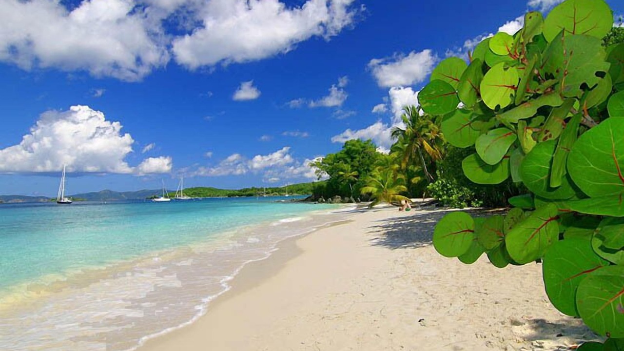 Photo of Others in Maho Bay Quarter