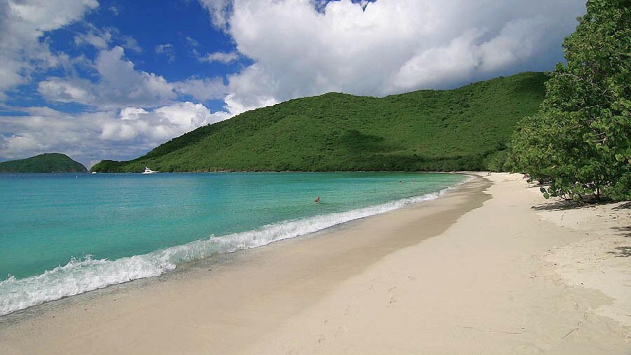 Photo of Others in Maho Bay Quarter