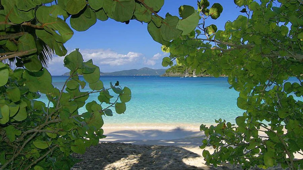 Photo of Others in Maho Bay Quarter
