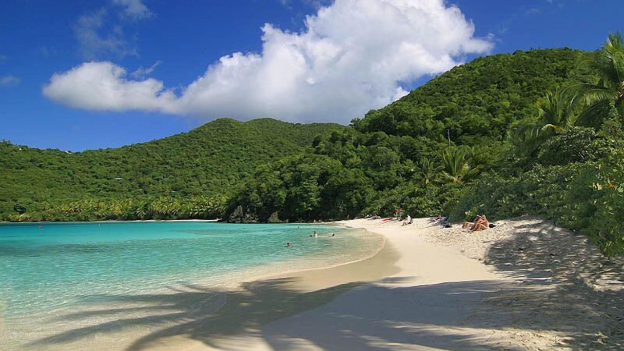 Photo of Others in Maho Bay Quarter
