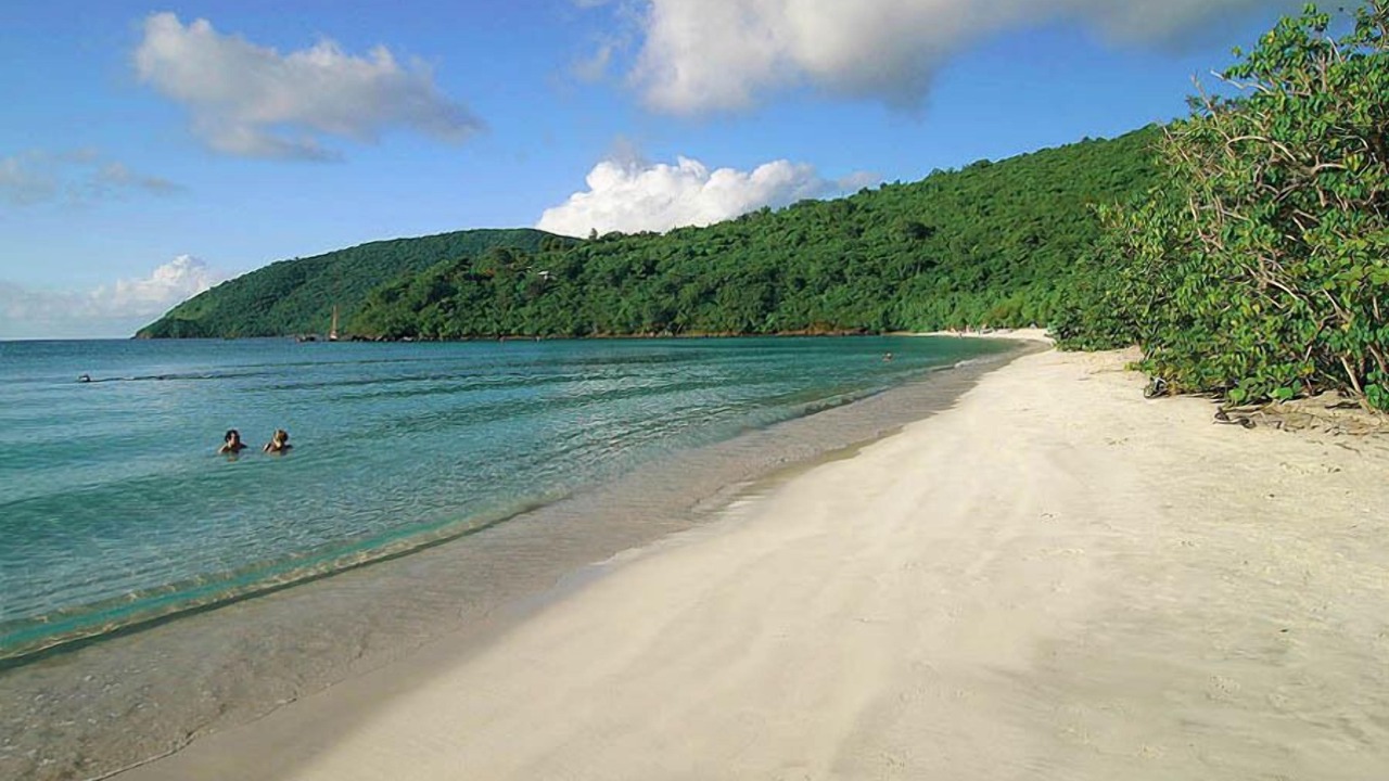 Photo of Others in Maho Bay Quarter