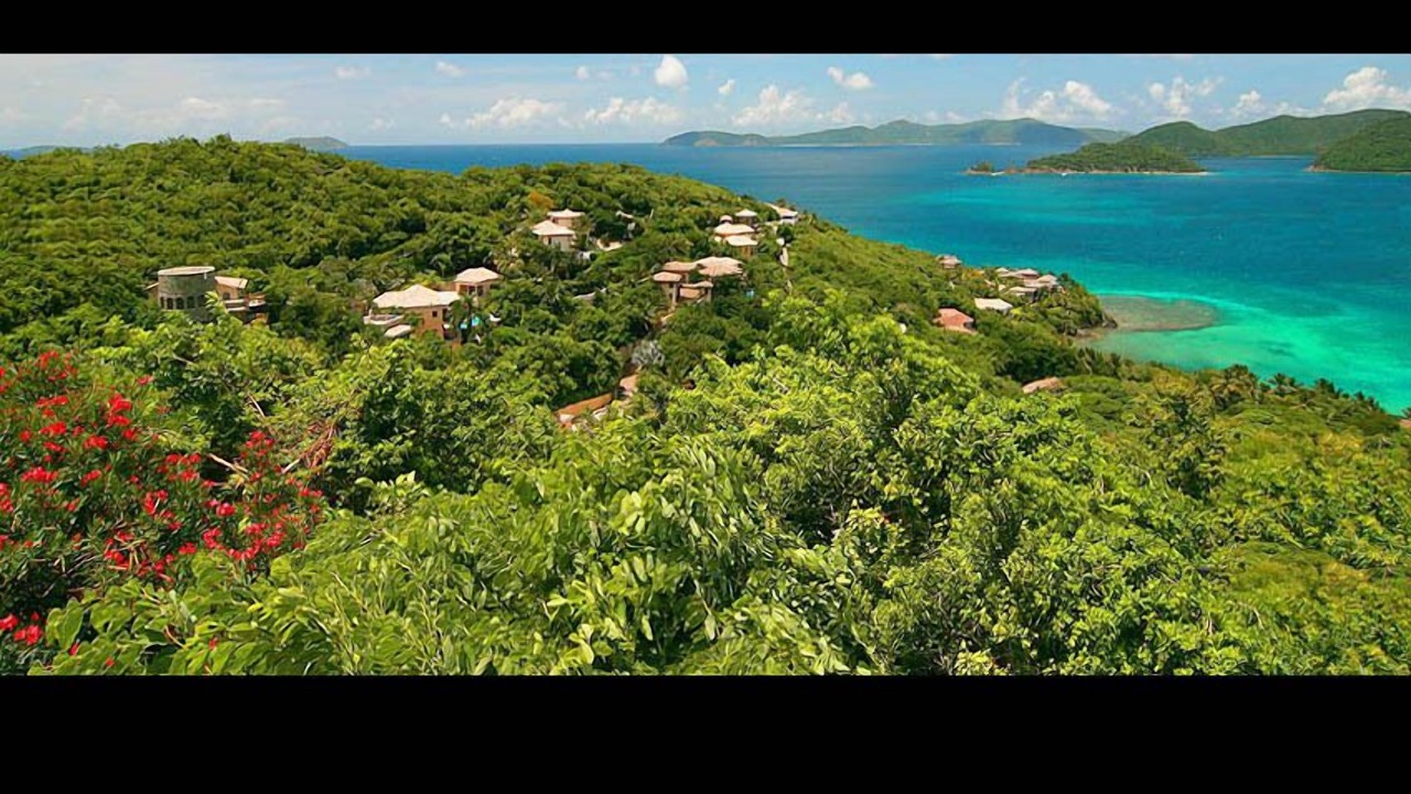 Photo of Others in Maho Bay Quarter