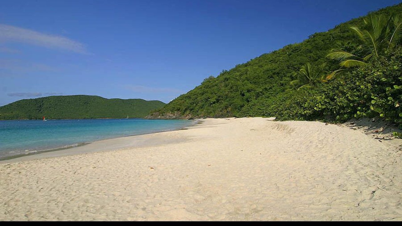 Photo of Others in Maho Bay Quarter