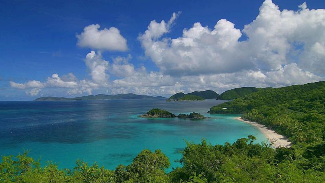 Photo of Others in Maho Bay Quarter