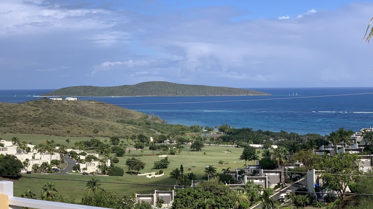 Photo of Others in Teagues Bay