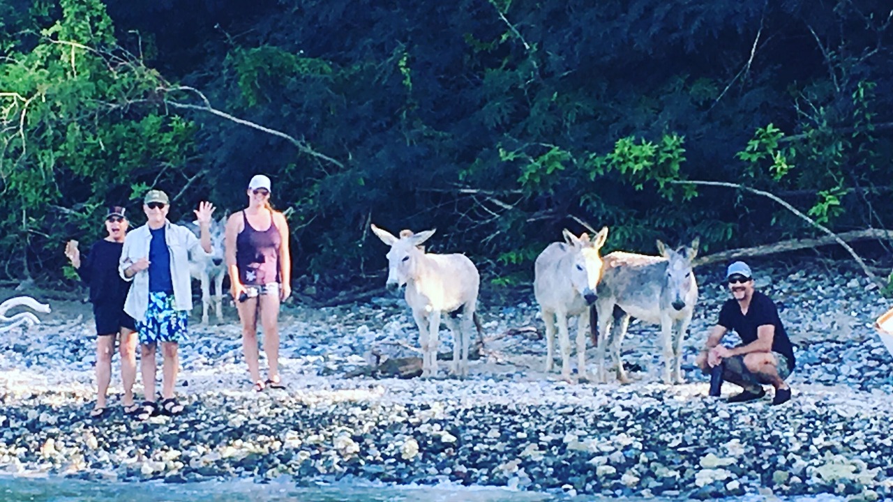 Photo of Others in Estate Western Water Island
