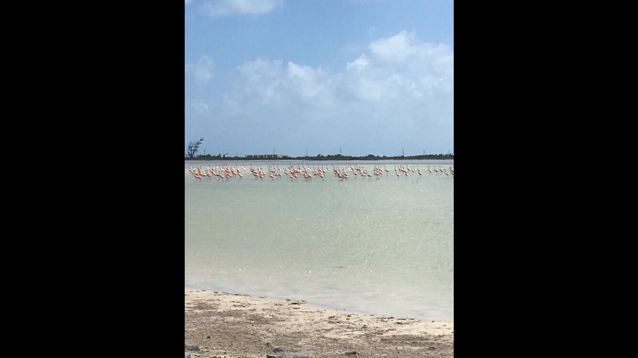 Photo of Others in Estate Western Water Island