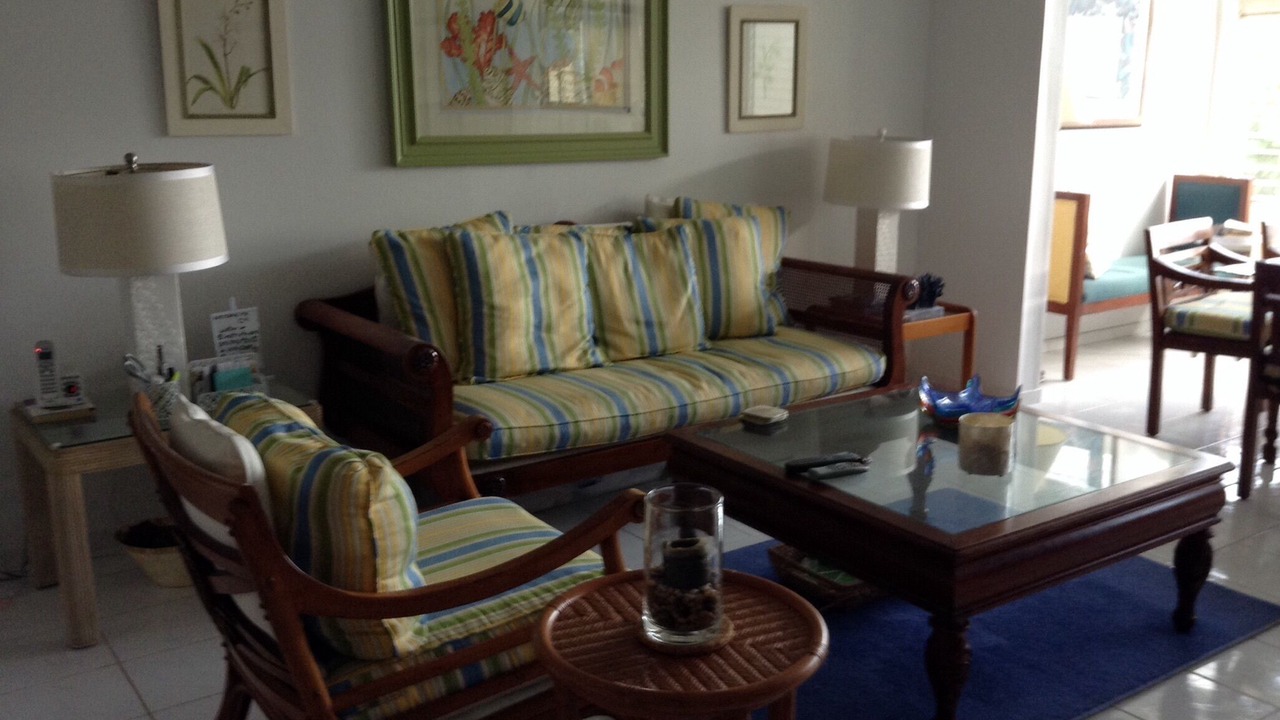 Photo of Livingroom in Red Hook