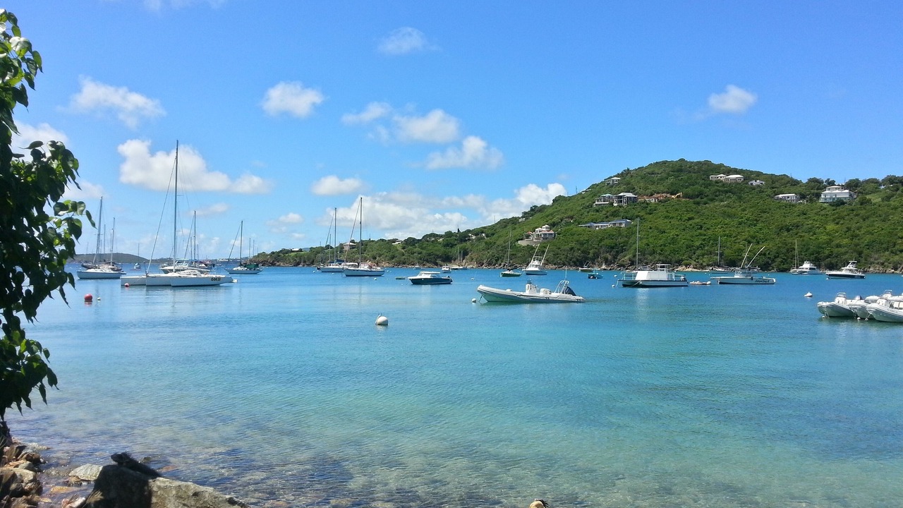 Photo of Others in Estate Chocolate Hole and Great Cruz Bay