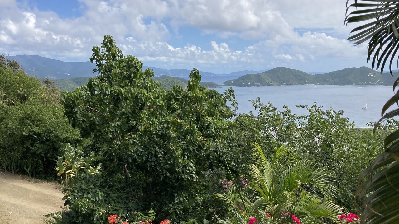 Photo of Outdoor in Estate Calabash Boom