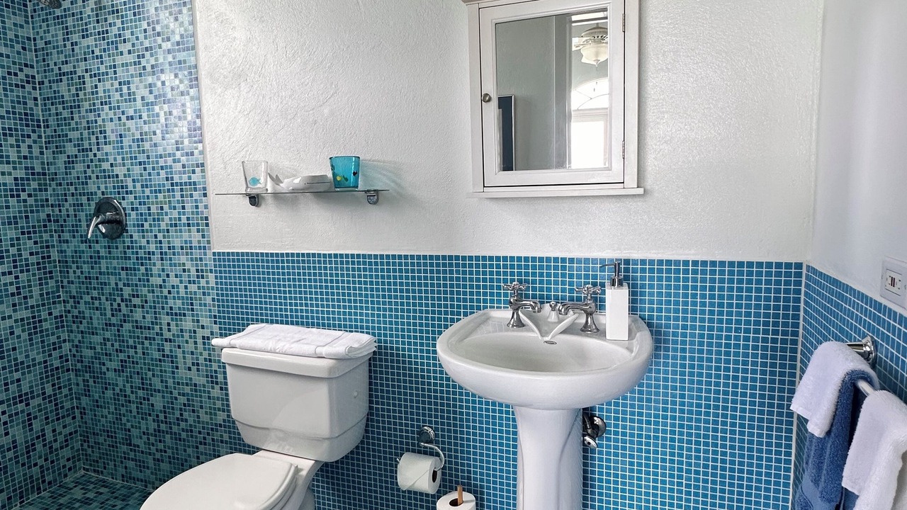 Photo of Bathroom in Red Hook