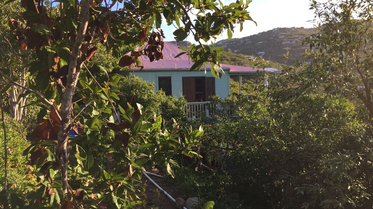 Photo of Outdoor in Hart Bay