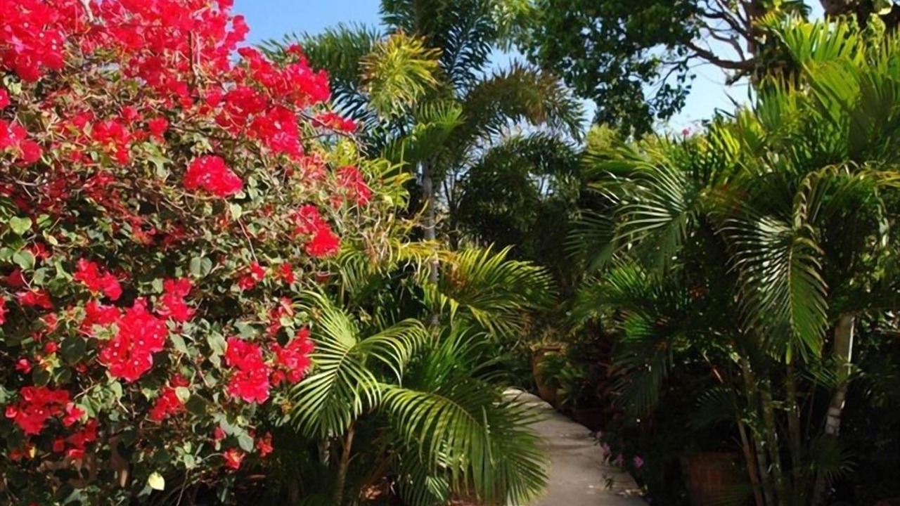 Photo of Outdoor in Hart Bay