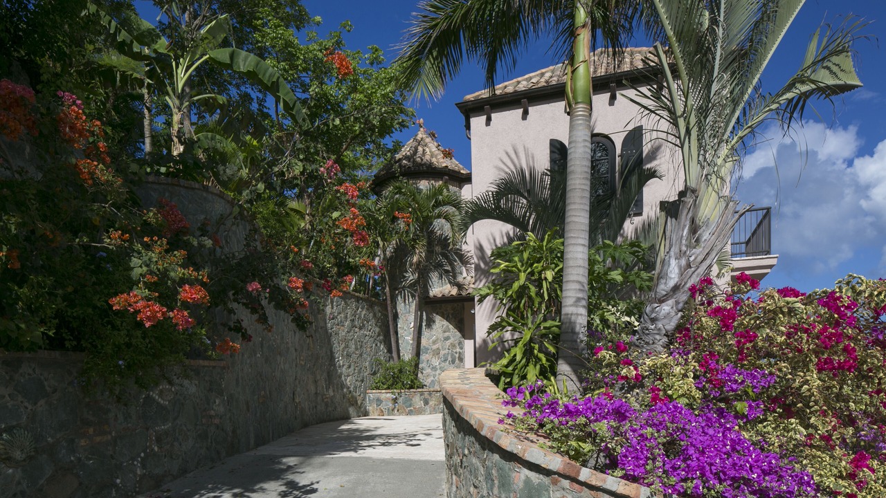 Photo of Others in Maho Bay Quarter