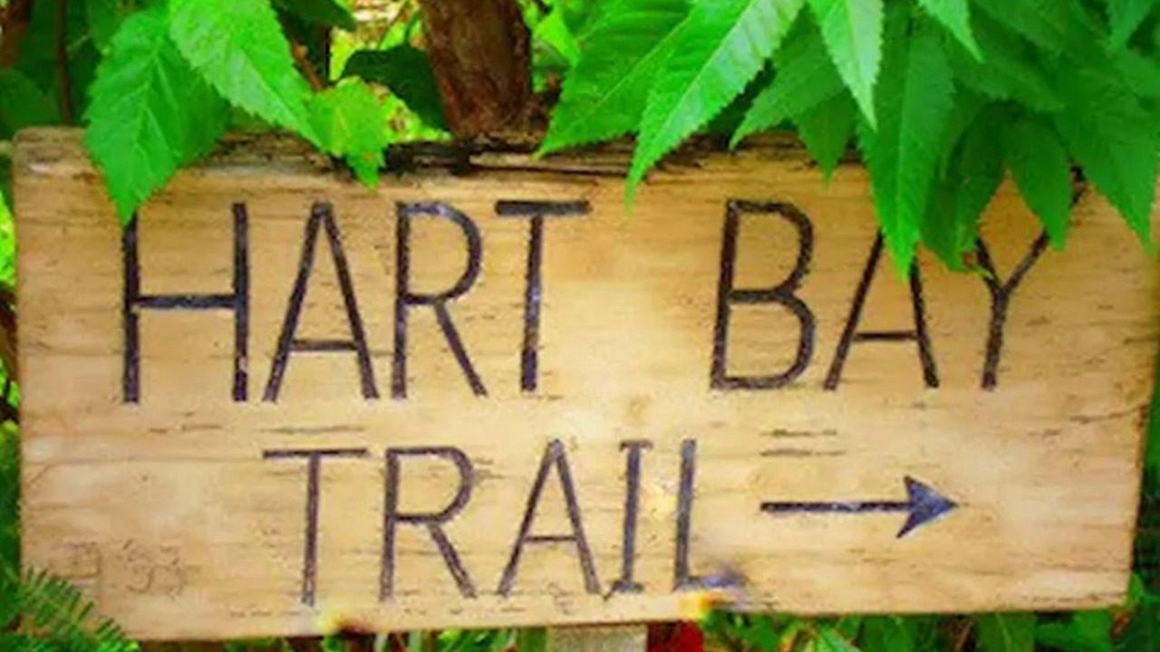 Photo of Outdoor in Hart Bay