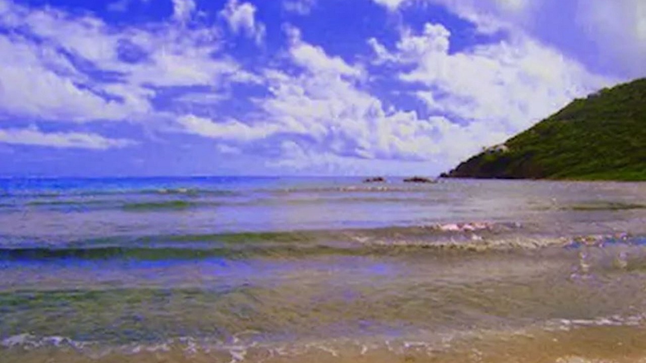 Photo of Others in Hart Bay