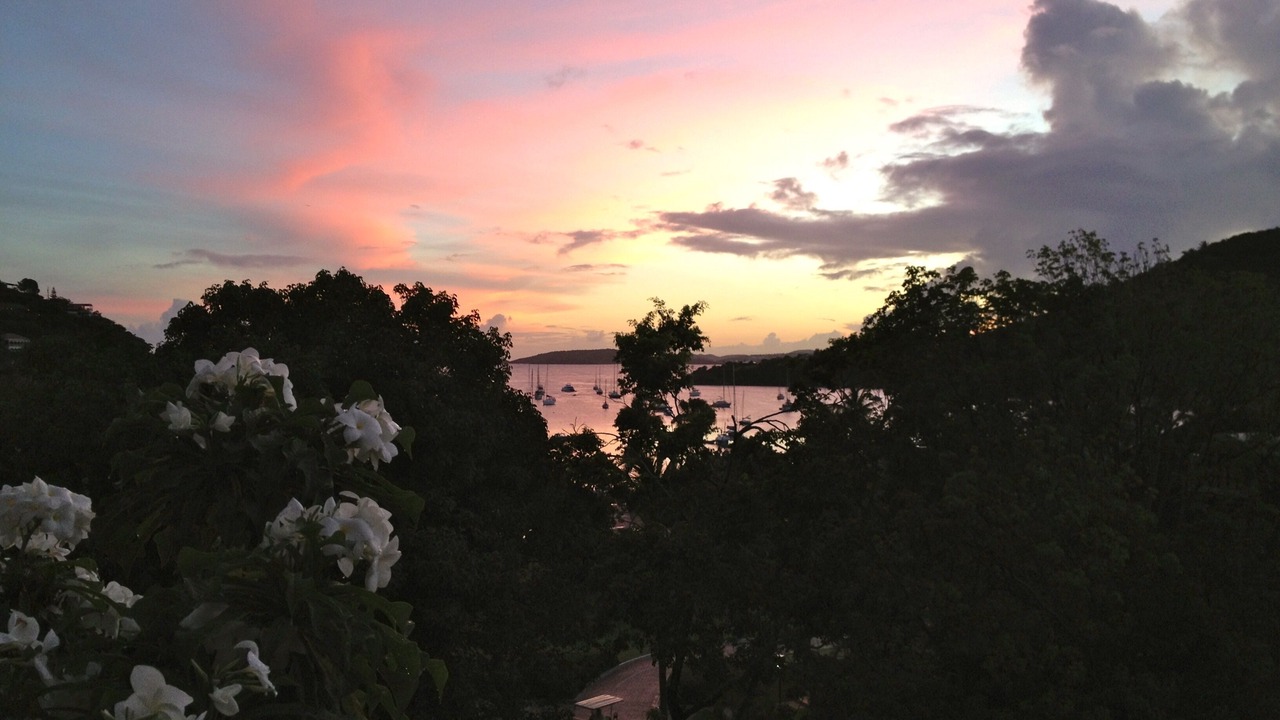 Photo of Others in Estate Chocolate Hole and Great Cruz Bay