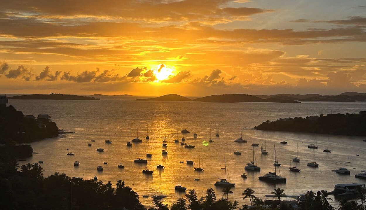 Photo of Others in Estate Chocolate Hole and Great Cruz Bay