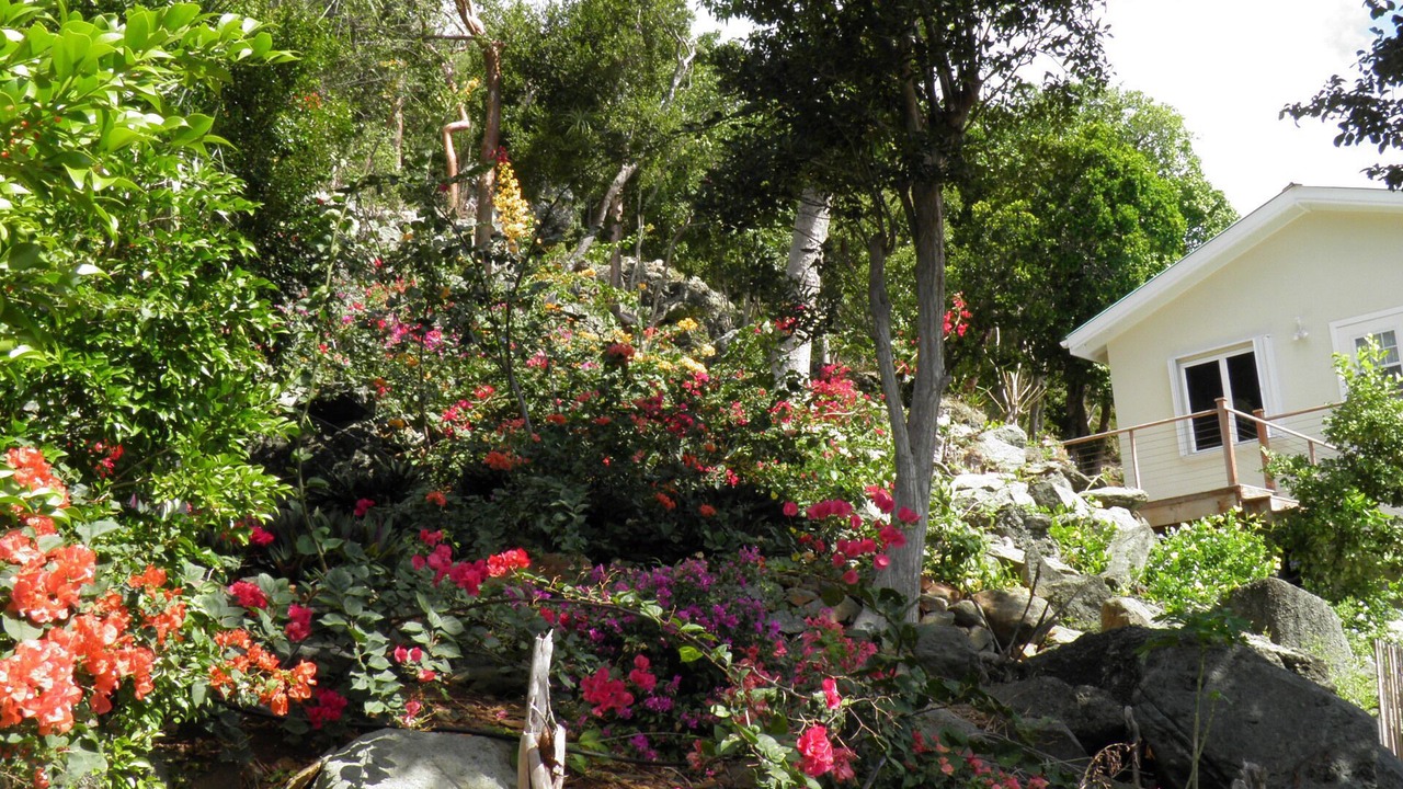 Photo of Outdoor in Estate Bethany