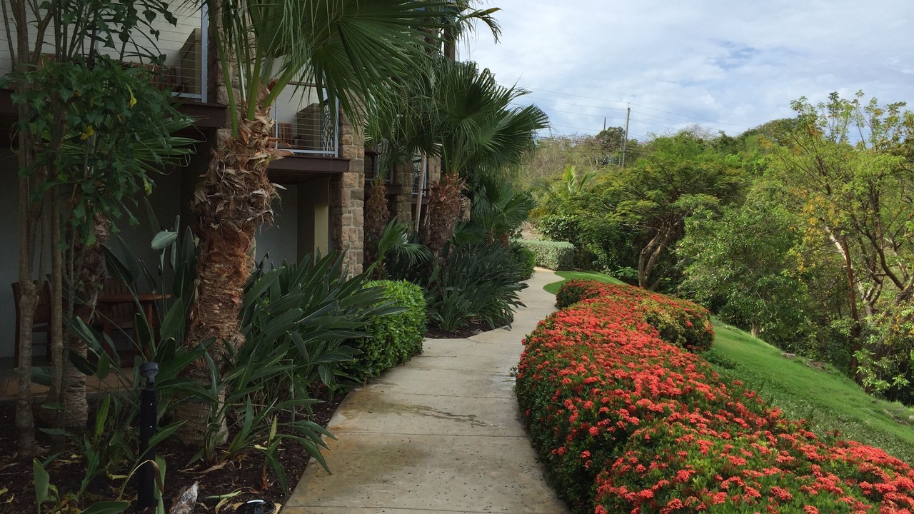 Photo of Outdoor in Estate Chocolate Hole and Great Cruz Bay