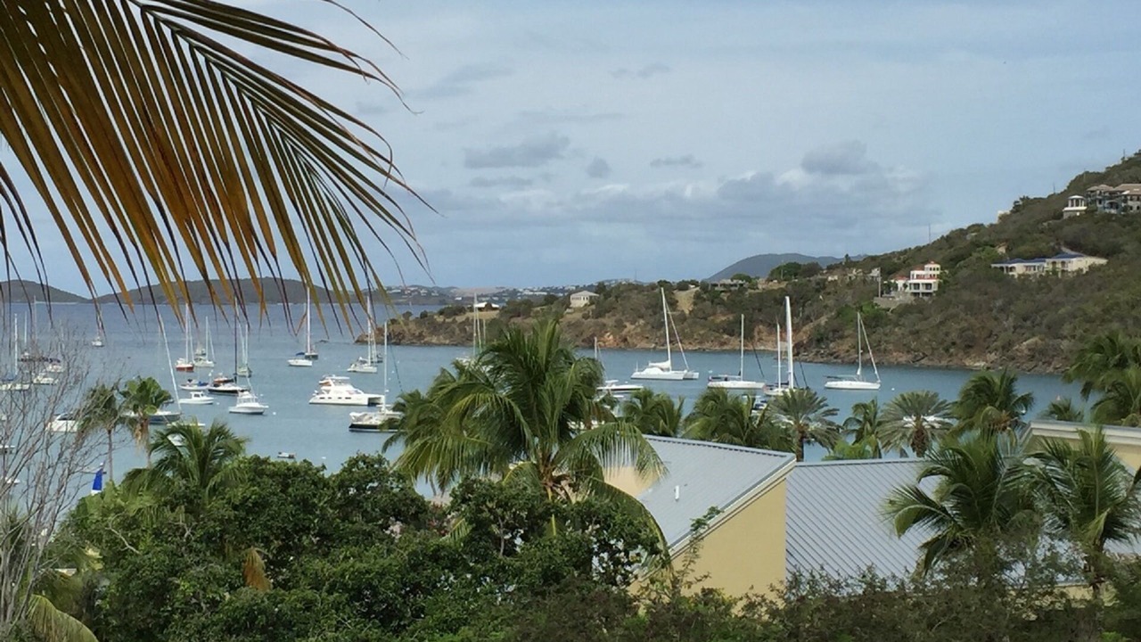 Photo of Others in Estate Chocolate Hole and Great Cruz Bay