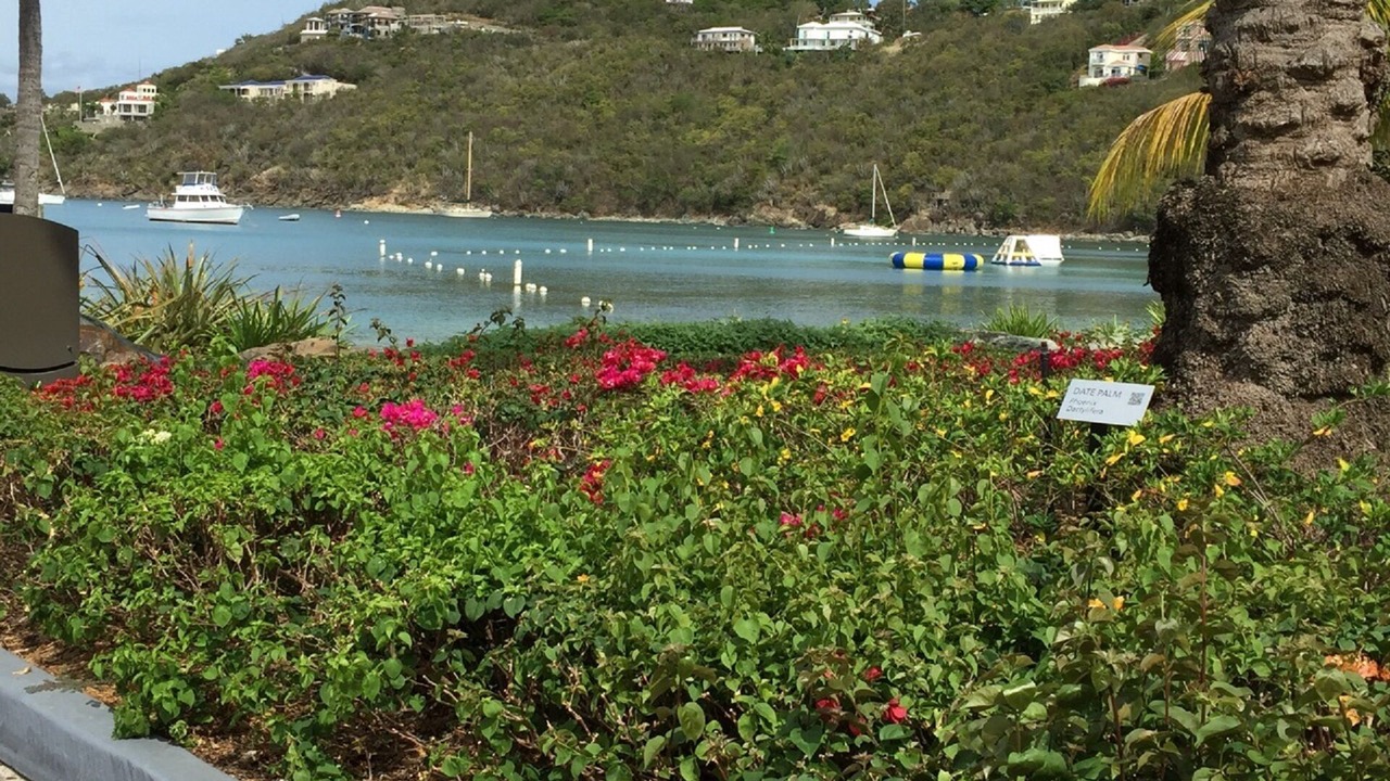 Photo of Outdoor in Estate Chocolate Hole and Great Cruz Bay