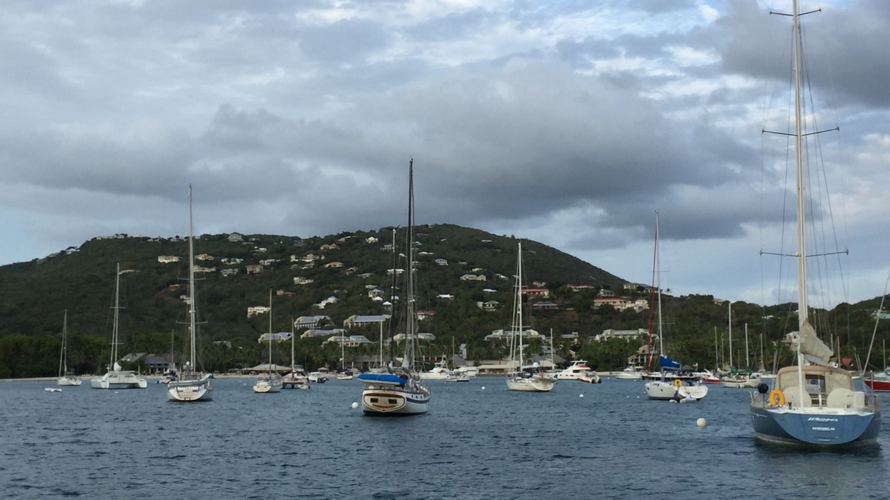 Photo of Others in Estate Chocolate Hole and Great Cruz Bay
