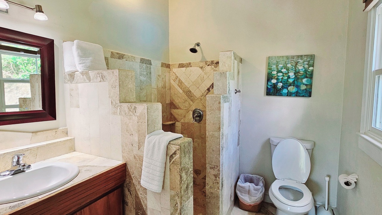 Photo of Bathroom in Lower Carolina