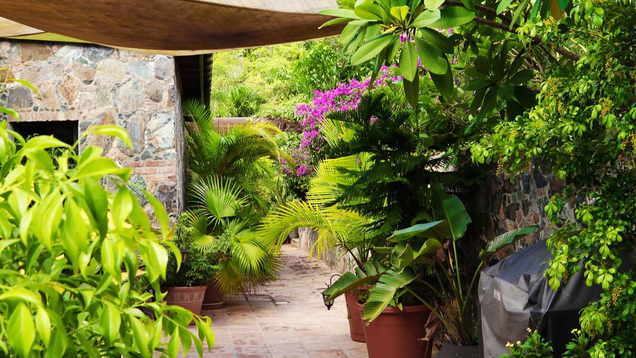 Photo of Outdoor in Fish Bay
