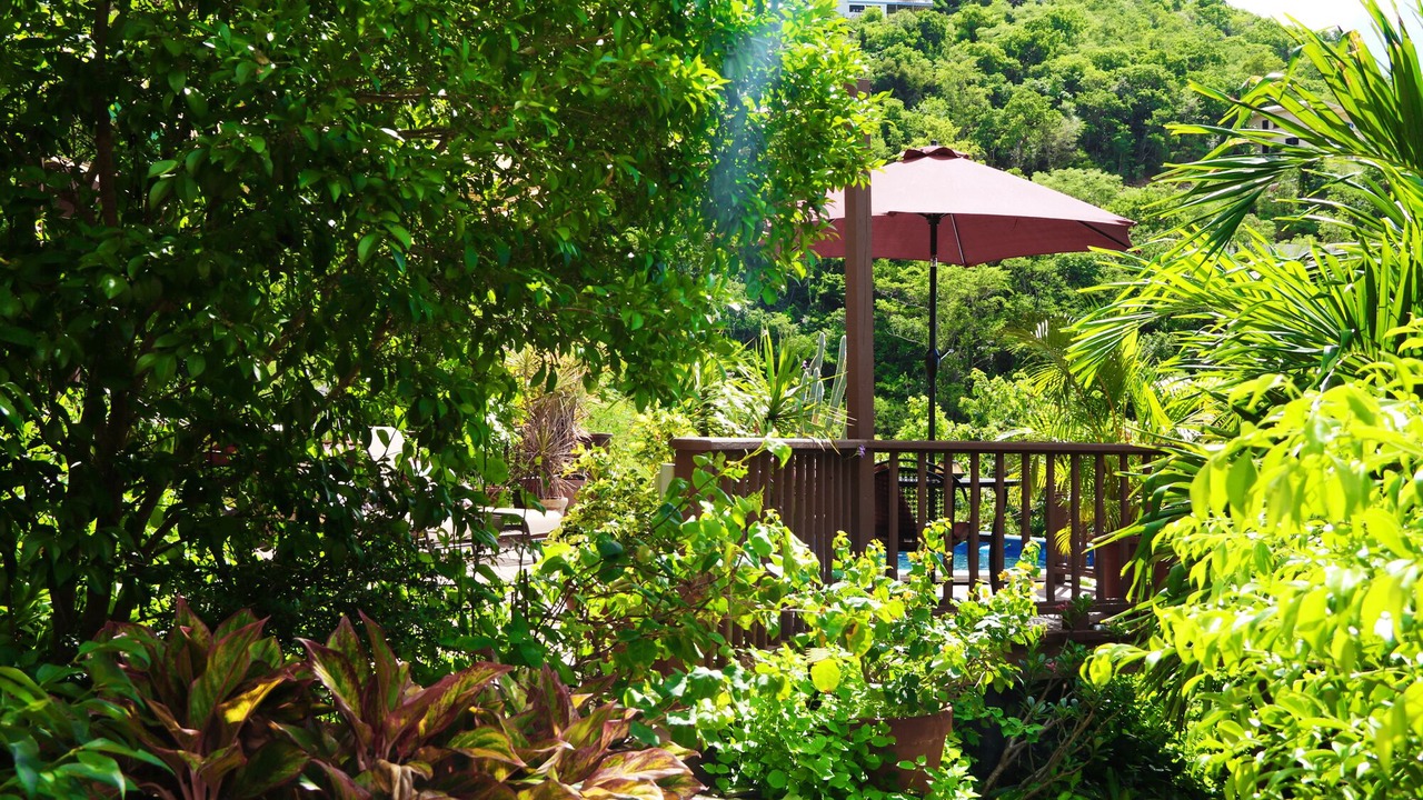 Photo of Outdoor in Fish Bay