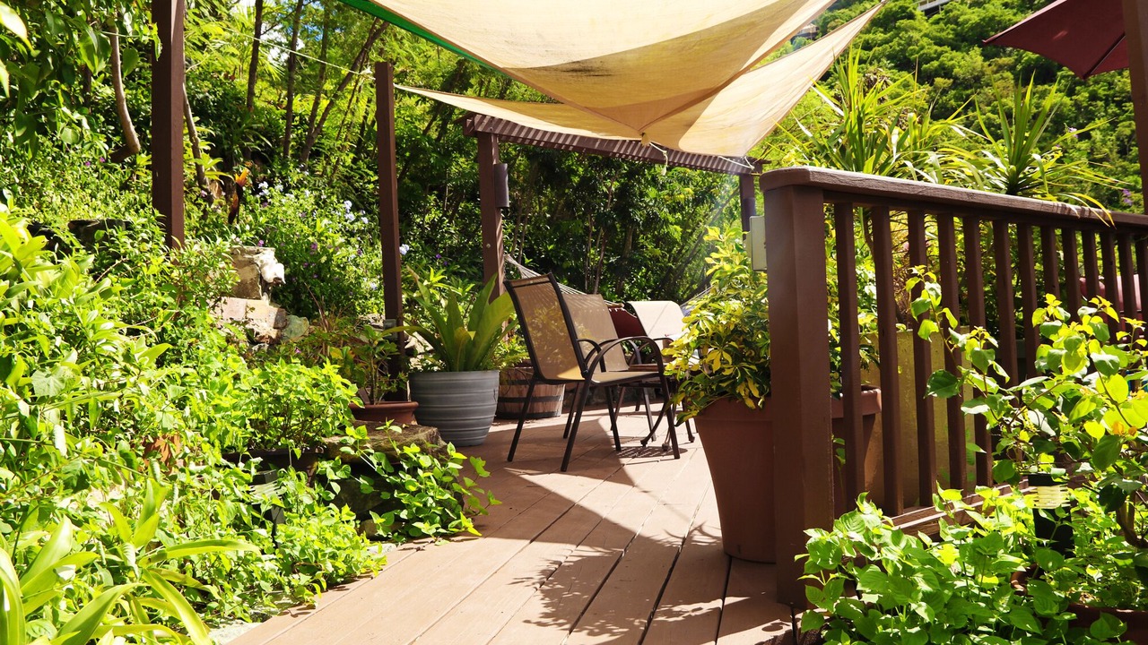 Photo of Outdoor in Fish Bay