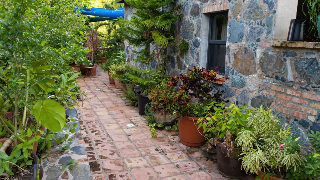 Photo of Outdoor in Fish Bay