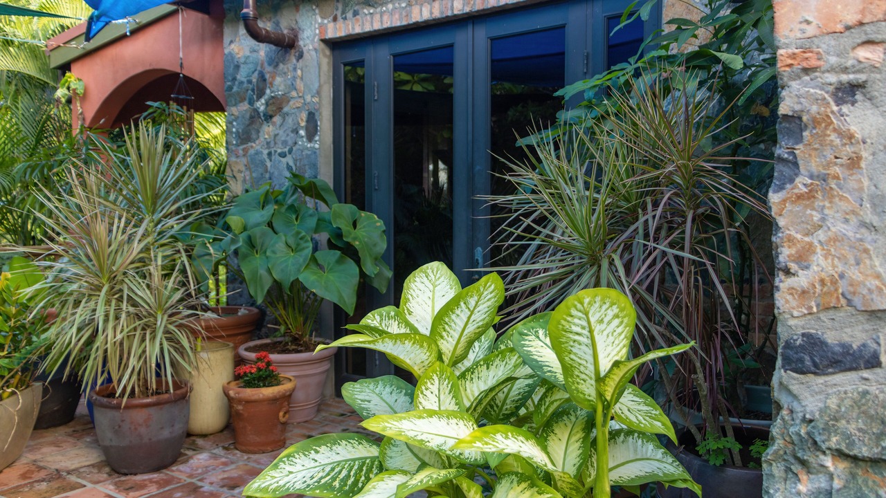 Photo of Outdoor in Fish Bay