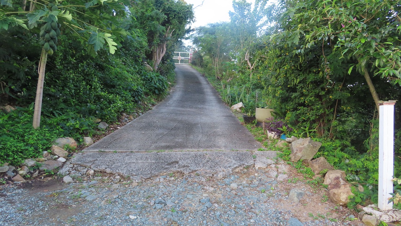 Photo of Outdoor in Lower Carolina